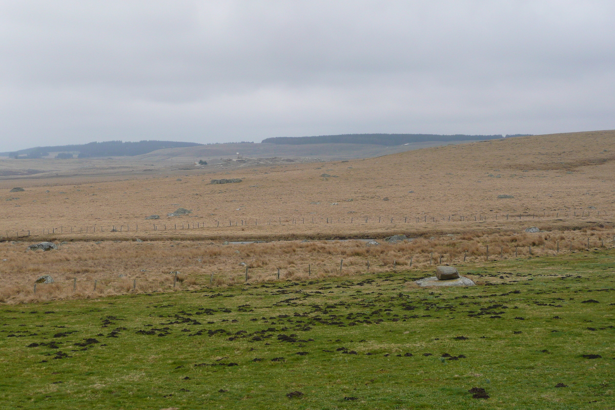 รูปถ่าย ฝรั่งเศส(France) โอบรัก(L'Aubrac) 2008-04 77