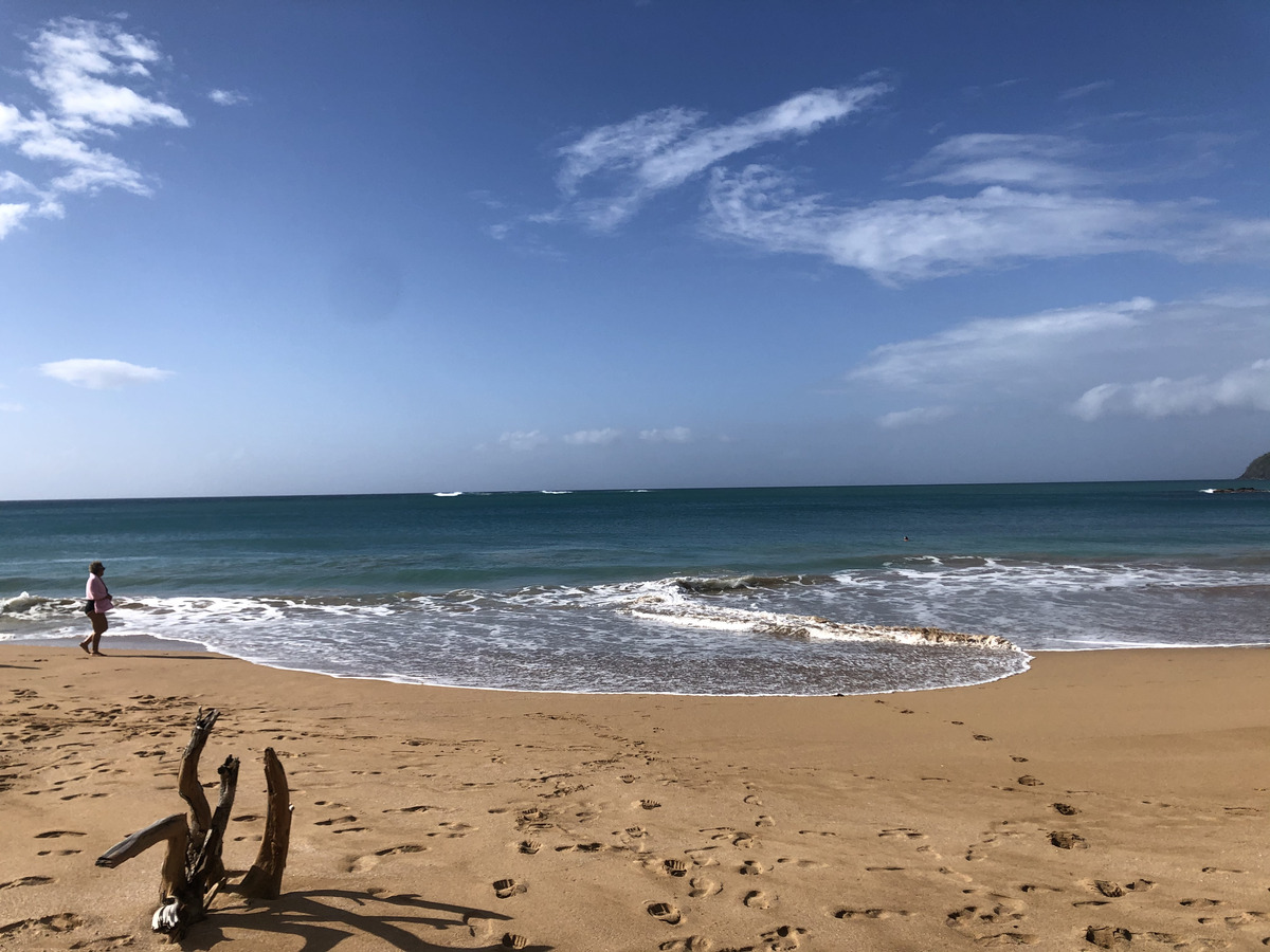 รูปถ่าย กวาเดอลูป(Guadeloupe) หาดลาแปร์ล(La Perle Beach) 2021-02 95
