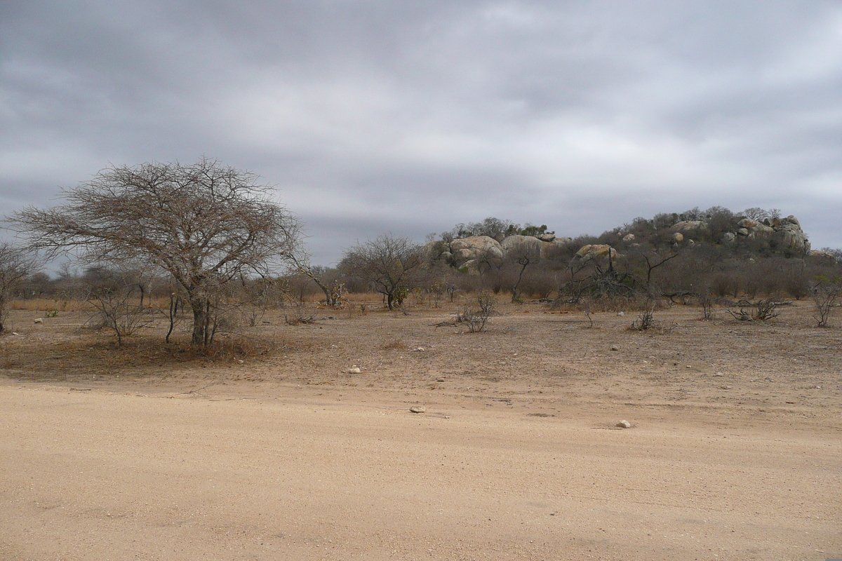 รูปถ่าย แอฟริกาใต้(South Africa) อุทยานแห่งชาติครูเกอร์(Kruger National Park) 2008-09 1