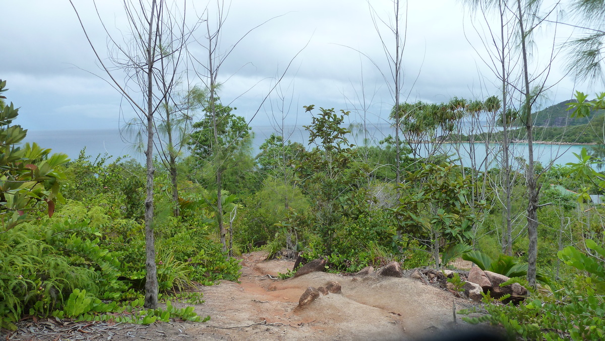 รูปถ่าย เซเชลส์(Seychelles) อ่าวอ็องส์ลาซิโอ(Anse Lazio) 2011-10 137