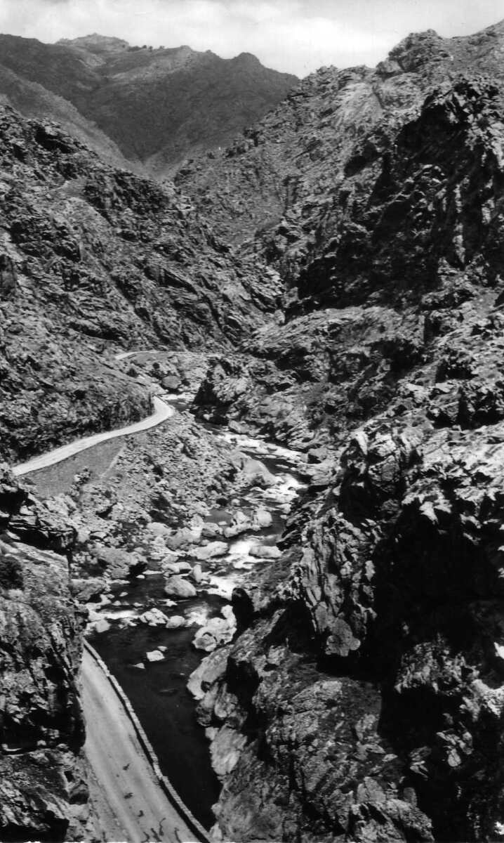 รูปถ่าย ฝรั่งเศส(France) คอร์สิคา(Corsica) โปสการ์ดเก่า(Old Postcards) 1900-01 220