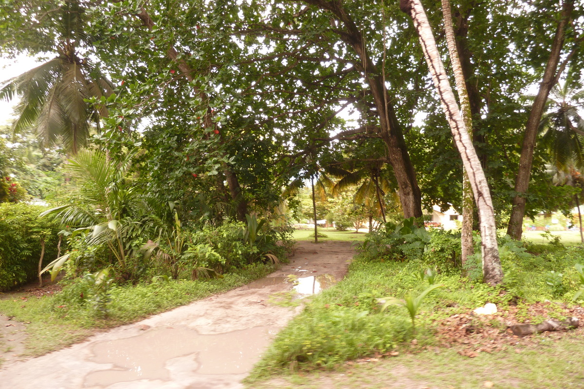 รูปถ่าย เซเชลส์(Seychelles) เกาะลาดีก(La Digue) 2011-10 208