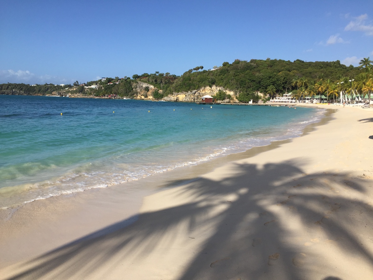 รูปถ่าย กวาเดอลูป(Guadeloupe) หาดลาการาแวล(La Caravelle Beach) 2021-02 78