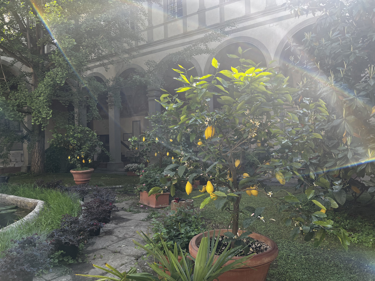 รูปถ่าย อิตาลี(Italy) ฟลอเรนซ์(Florence) 2022-05 8