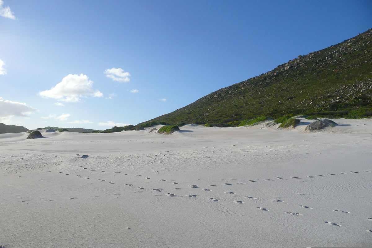 รูปถ่าย แอฟริกาใต้(South Africa) แหลมกู๊ดโฮป(Cape of Good Hope) 2008-09 16