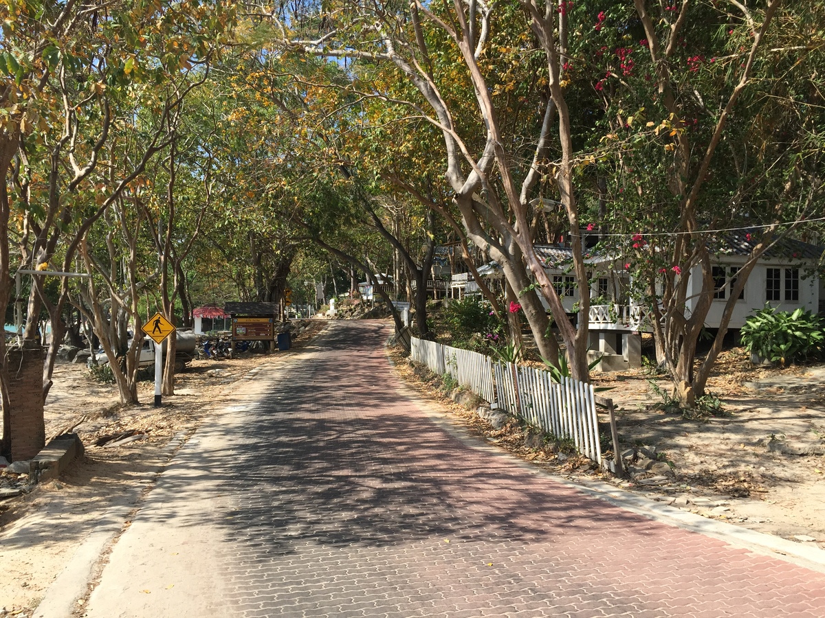รูปถ่าย ไทย(Thailand) เกาะเสม็ด(Ko Samet) 2014-12 41