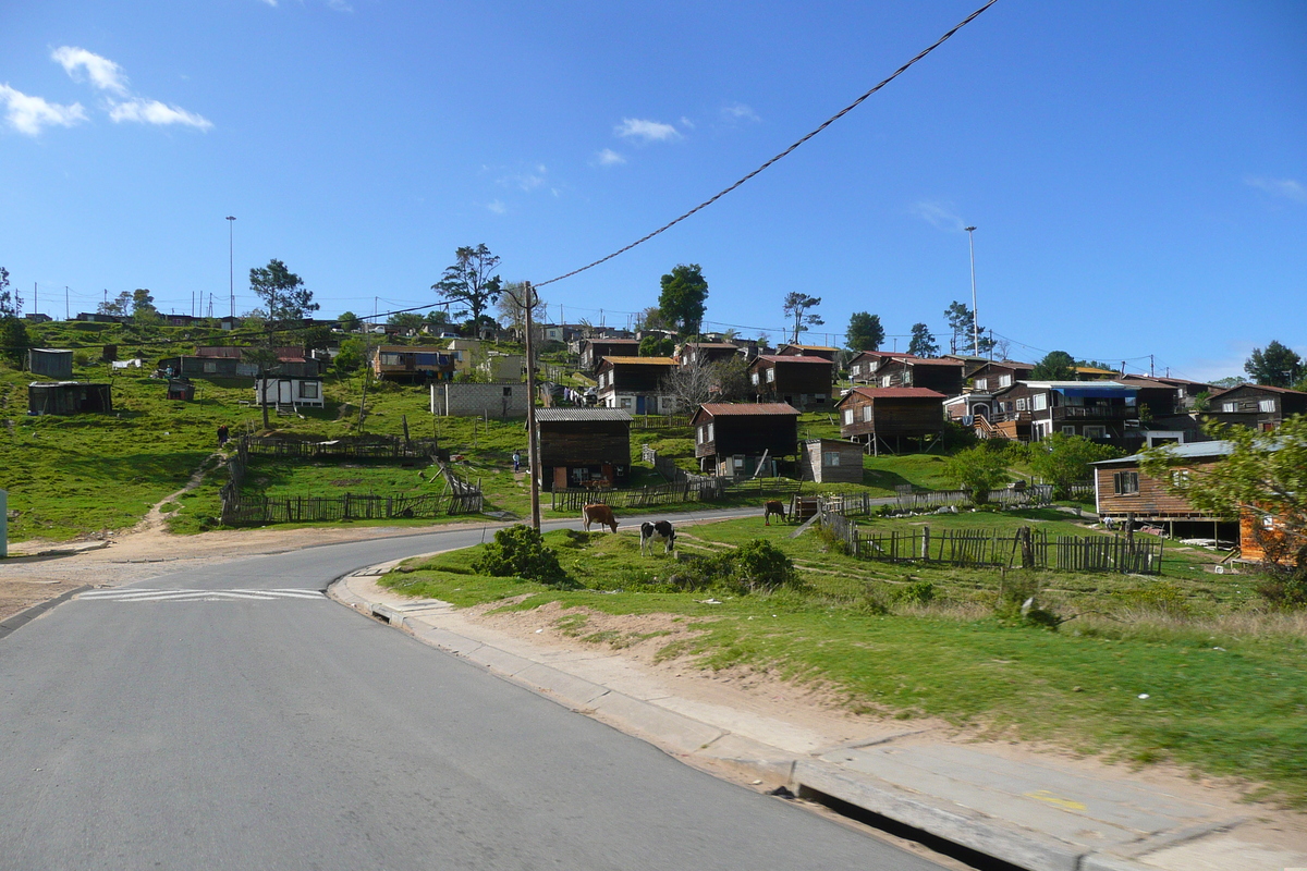 รูปถ่าย แอฟริกาใต้(South Africa) ไนส์นา(Knysna) 2008-09 31