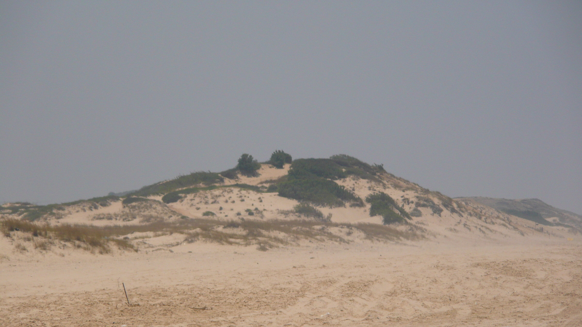 รูปถ่าย อิสราเอล(Israel) นิทซาน(Nitzan) 2007-06 29
