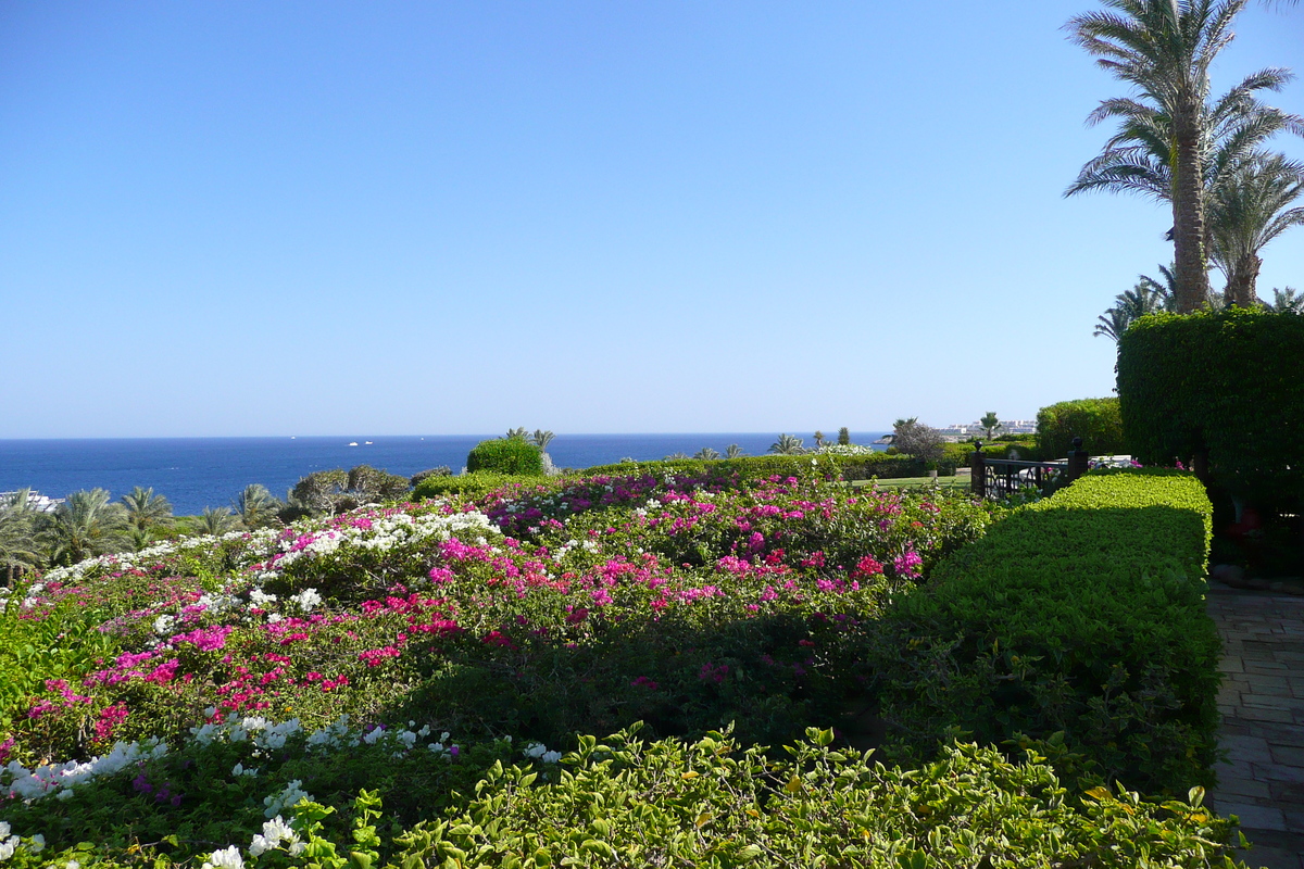 รูปถ่าย อียิปต์(Egypt) ชาร์มเอลชีค(Sharm el Sheikh) โรงแรมโฟร์ซีซันส์(Four Seasons Hotel) 2008-06 13