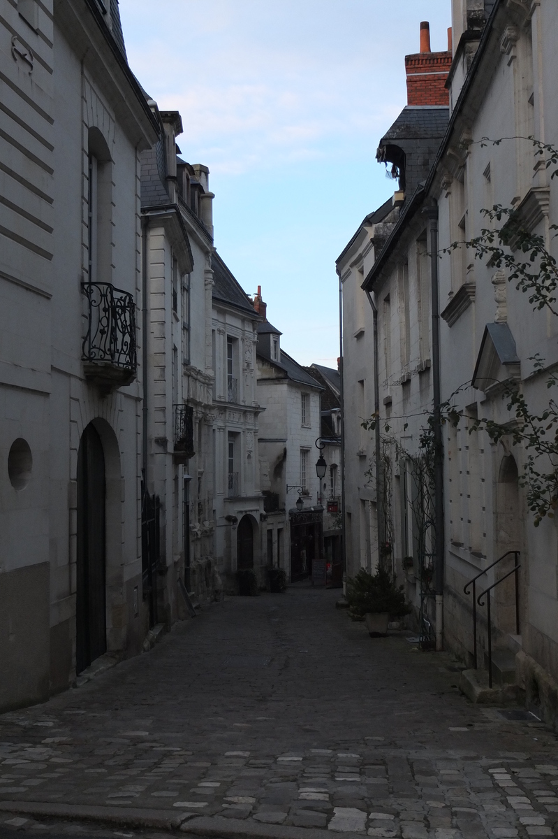 รูปถ่าย ฝรั่งเศส(France) ปราสาทลอช(Loches Castle) 2013-01 136