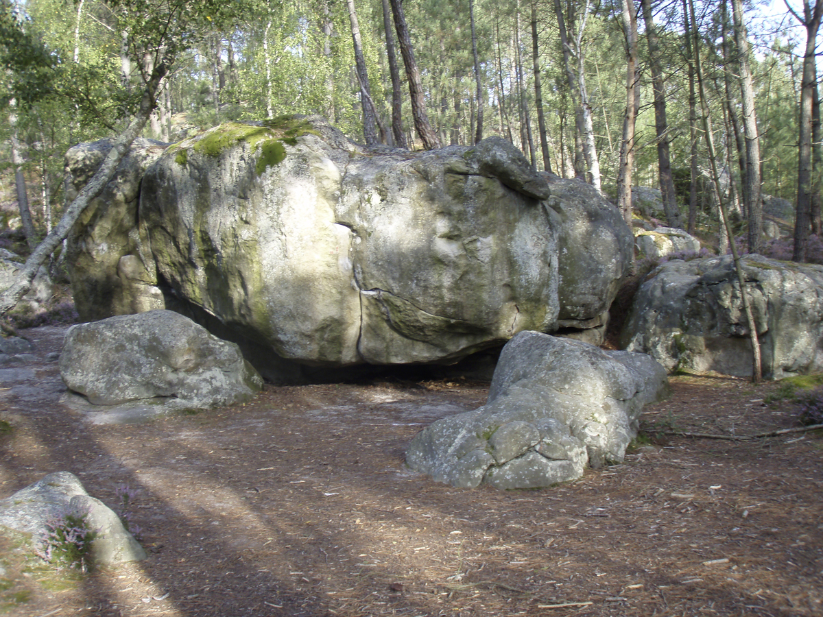รูปถ่าย ฝรั่งเศส(France) ฟงเทนโบล(Fontainebleau) ทัวร์ป่า(Circuit des 25 bosses) 2007-08 131