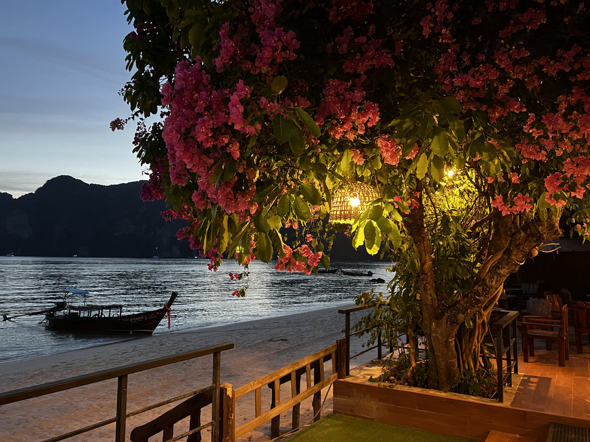 รูปถ่าย ไทย(Thailand) เกาะพีพีดอน(Ko Phi Phi Don) 2021-12 56