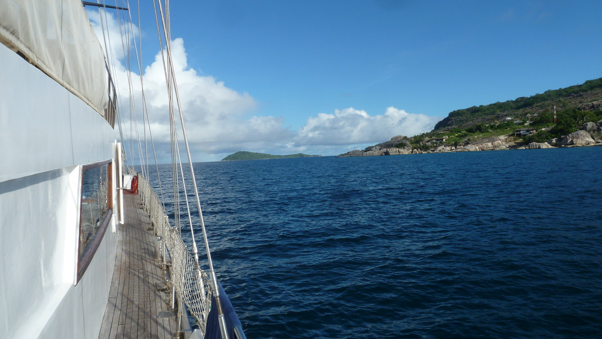 รูปถ่าย เซเชลส์(Seychelles) ซีสตาร์(Sea Star) 2011-10 71