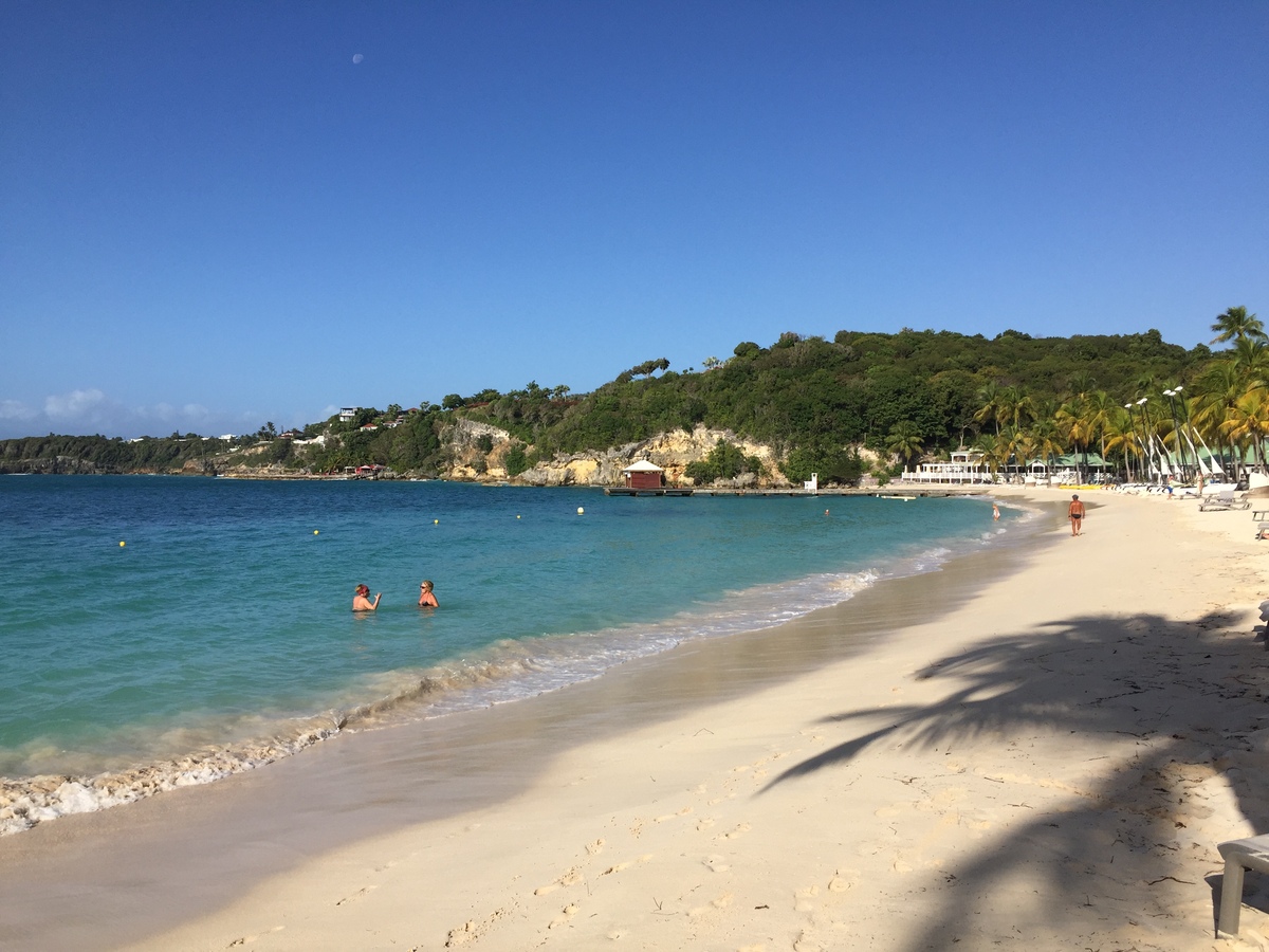 รูปถ่าย กวาเดอลูป(Guadeloupe) หาดลาการาแวล(La Caravelle Beach) 2021-02 112