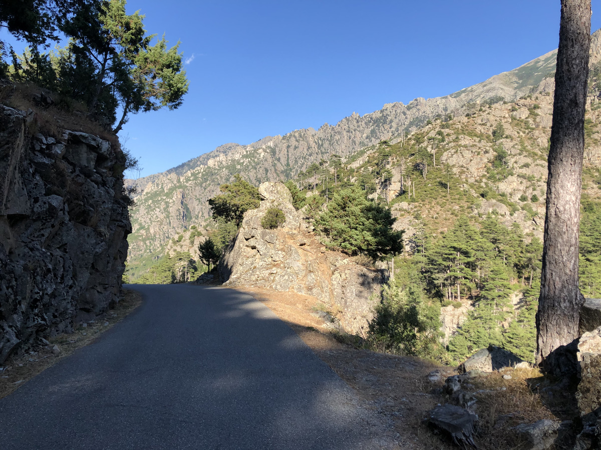 รูปถ่าย ฝรั่งเศส(France) คอร์สิคา(Corsica) หุบเขาลาเรสโตนีกา(La Restonica) 2020-07 5