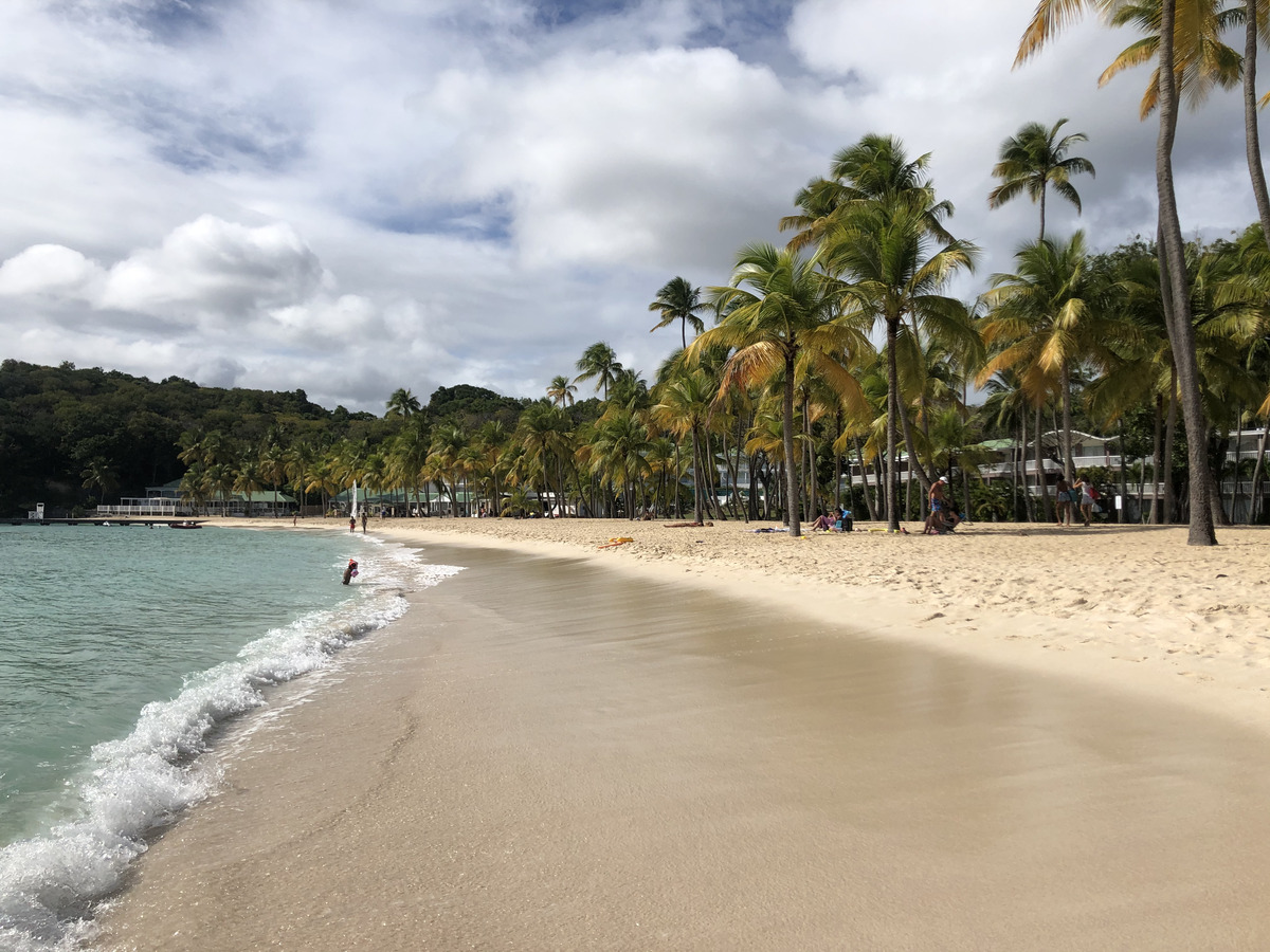 รูปถ่าย กวาเดอลูป(Guadeloupe) หาดลาการาแวล(La Caravelle Beach) 2021-02 142