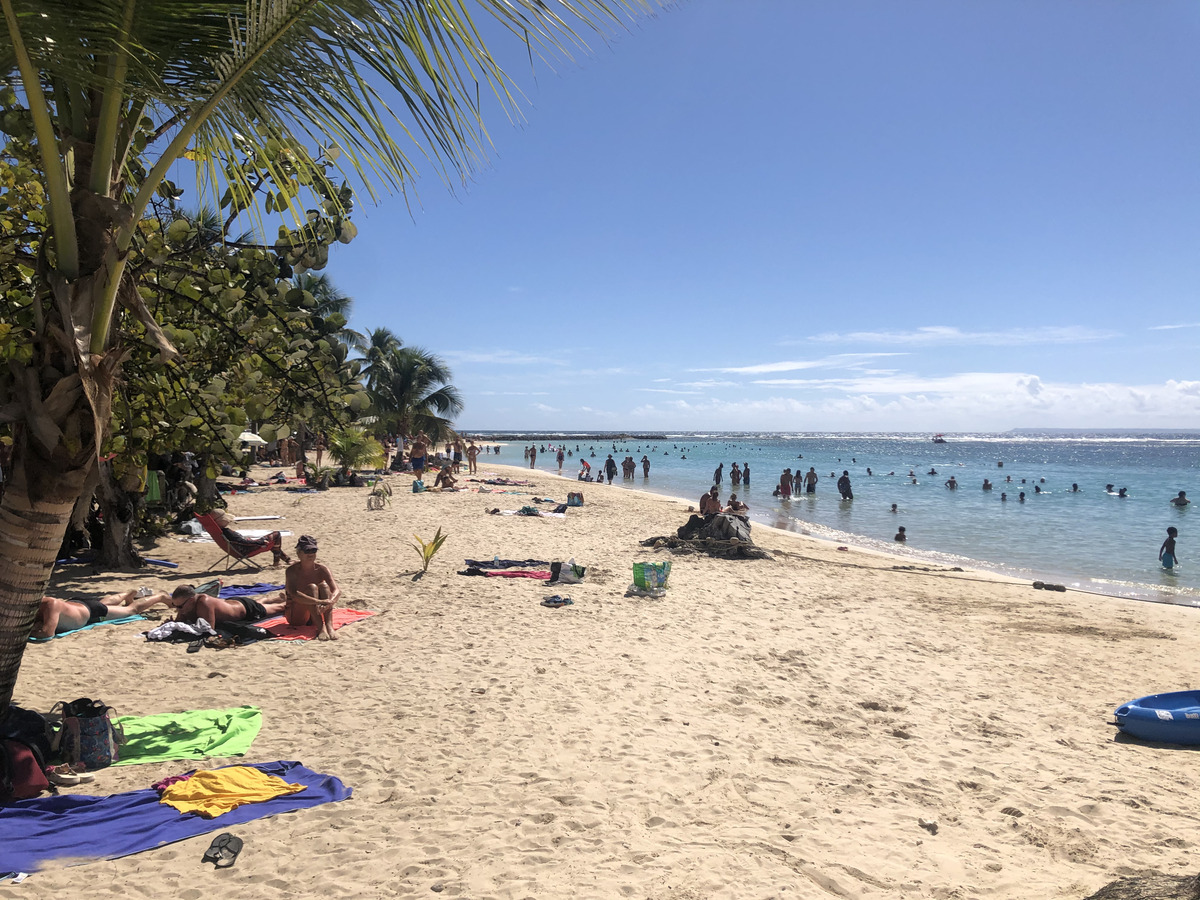 รูปถ่าย กวาเดอลูป(Guadeloupe) แซ็งตาน(Sainte Anne) 2021-02 93