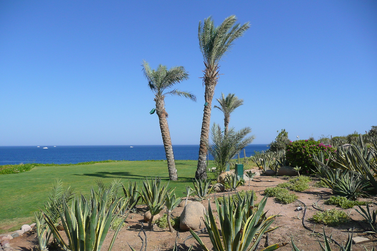 รูปถ่าย อียิปต์(Egypt) ชาร์มเอลชีค(Sharm el Sheikh) โรงแรมโฟร์ซีซันส์(Four Seasons Hotel) หาดโฟร์ซีซันส์(Four Seasons Beach) 2008-06 52