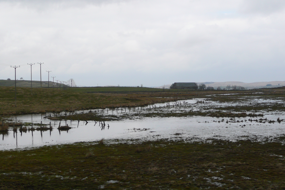 รูปถ่าย ฝรั่งเศส(France) โอบรัก(L'Aubrac) 2008-04 112