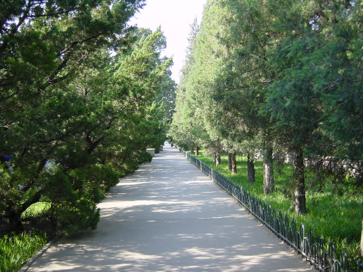 รูปถ่าย จีน(China) ปักกิ่ง(Beijing) วัดแห่งสวรรค์(Temple of Heaven) 2002-05 54