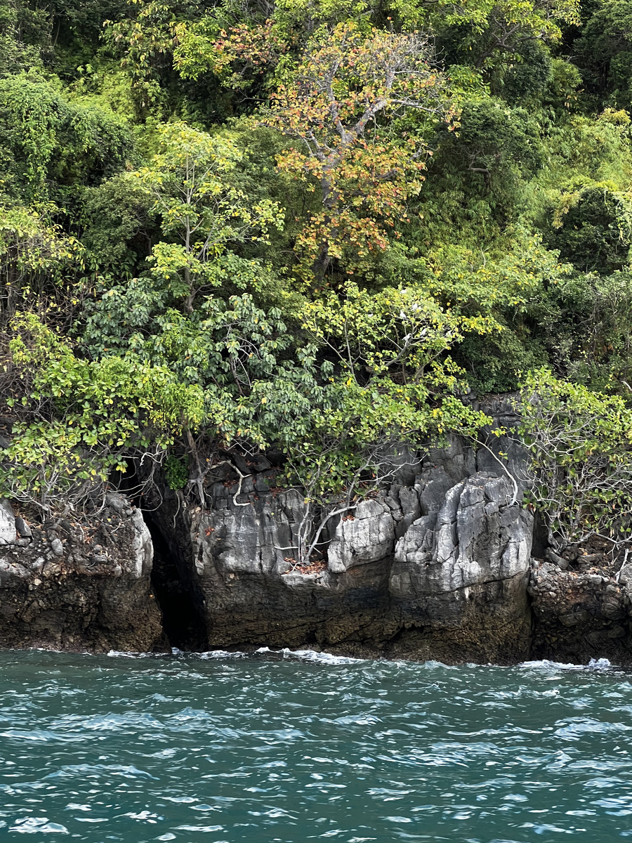 รูปถ่าย ไทย(Thailand) เกาะพีพีเล(Ko Phi Phi Ley) 2021-12 82