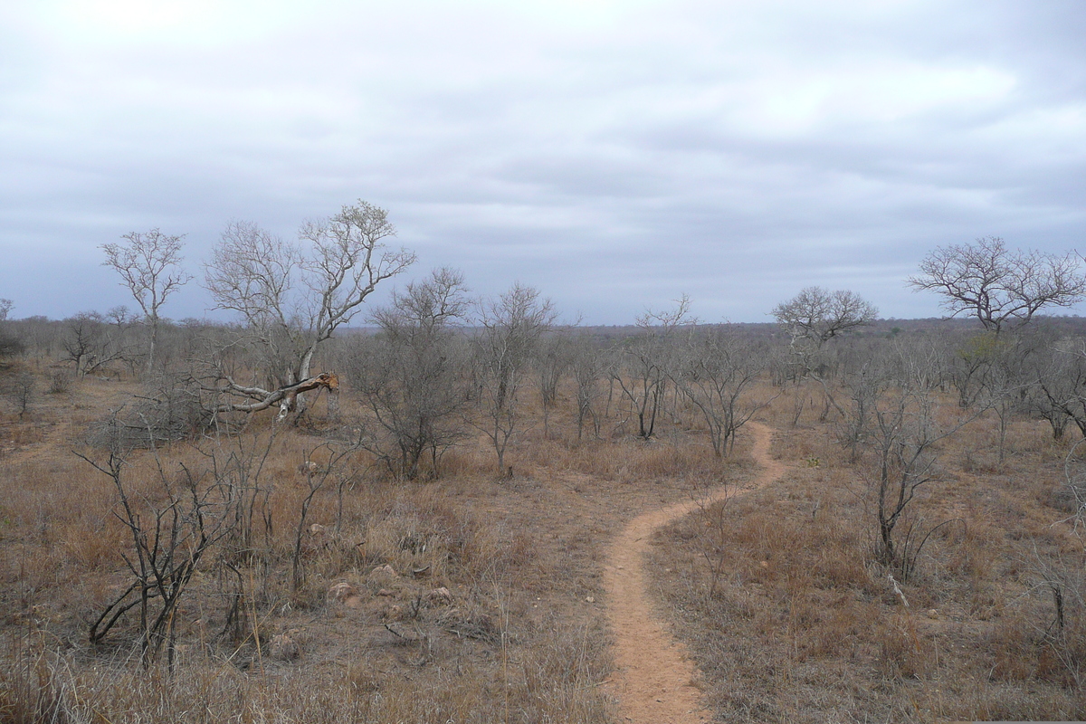 รูปถ่าย แอฟริกาใต้(South Africa) อุทยานแห่งชาติครูเกอร์(Kruger National Park) 2008-09 93