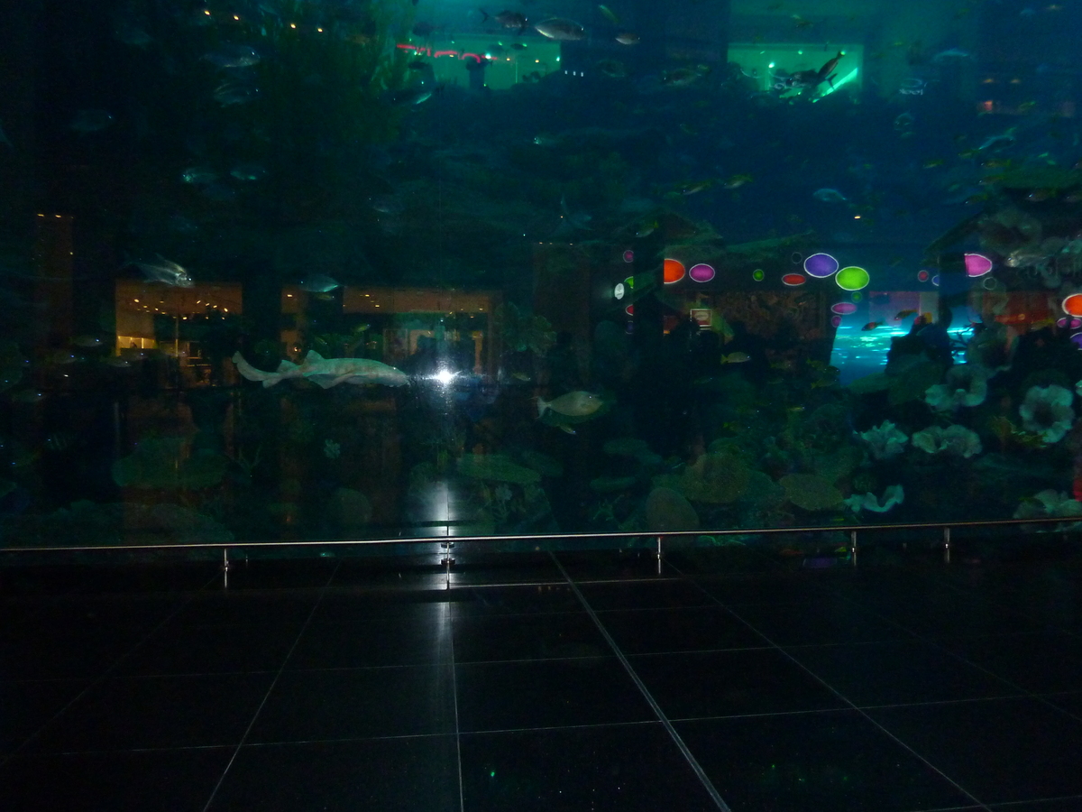 รูปถ่าย สหรัฐอาหรับเอมิเรตส์(United Arab Emirates) ดูไบ(Dubai) ดูไบมอลล์(The Dubai Mall) 2009-12 3