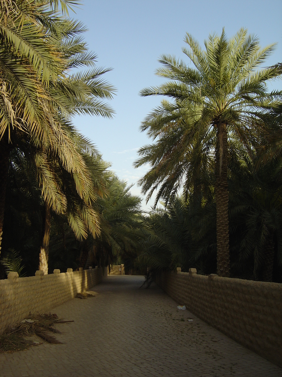 รูปถ่าย สหรัฐอาหรับเอมิเรตส์(United Arab Emirates) อาเลอิน(Al Ain) โอเอซิสอัลไอน์(Al Ain Oasis) 2005-03 4