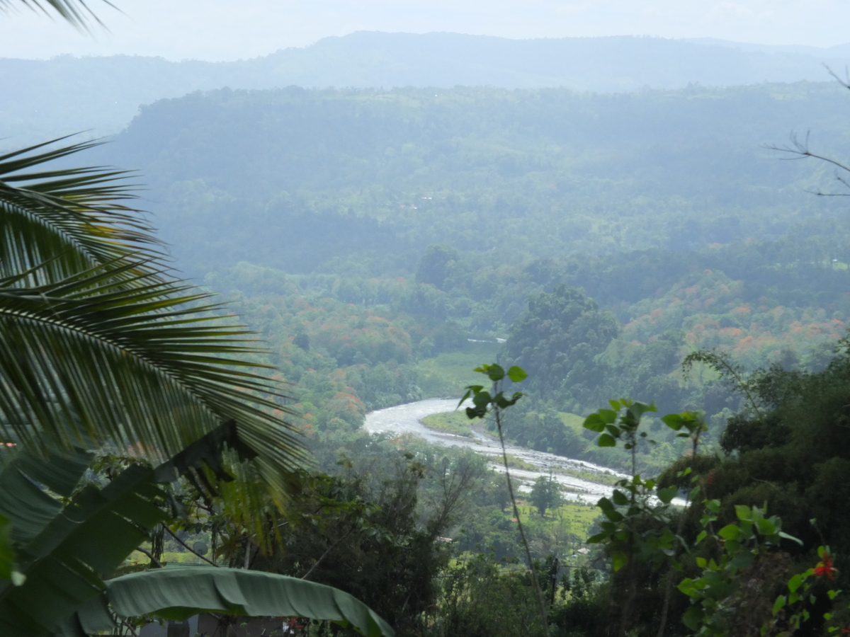 รูปถ่าย คอสตาริกา(Costa Rica) ตูร์รีอัลบา(Turrialba) 2015-03 48