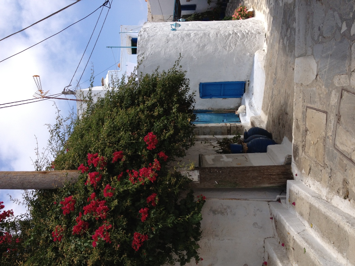 รูปถ่าย กรีก(Greece) เกาะอามอร์กอส(Amorgos) 2014-07 359