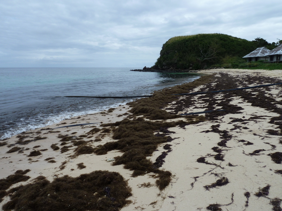 รูปถ่าย ฟิจิ(Fiji) รีสอร์ตเกาะอามูนูกา(Amunuca Island Resort) 2010-05 108