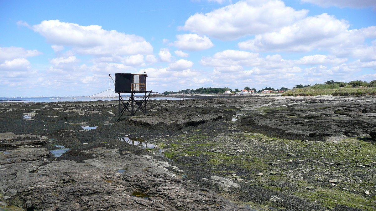รูปถ่าย ฝรั่งเศส(France) เพรฟาย(Prefailles) จากแหลมแซ็ง-ฌีลดาไปลาเปร(La pointe Saint Gildas to La Pree) 2007-08 56