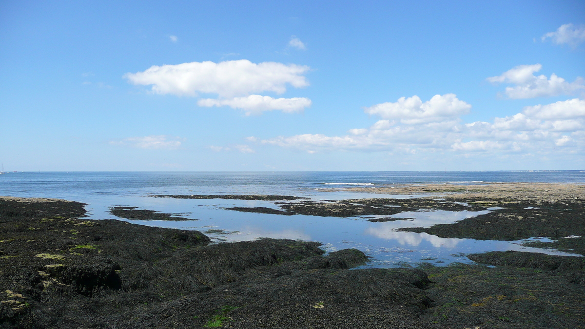 รูปถ่าย ฝรั่งเศส(France) เพรฟาย(Prefailles) จากแหลมแซ็ง-ฌีลดาไปลาเปร(La pointe Saint Gildas to La Pree) 2007-08 61