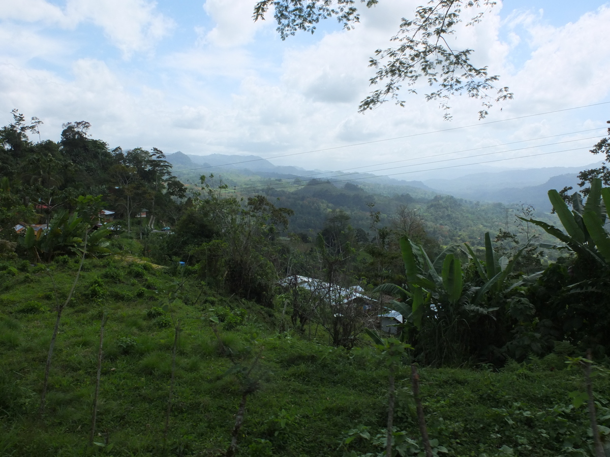 รูปถ่าย คอสตาริกา(Costa Rica) ตูร์รีอัลบา(Turrialba) 2015-03 81