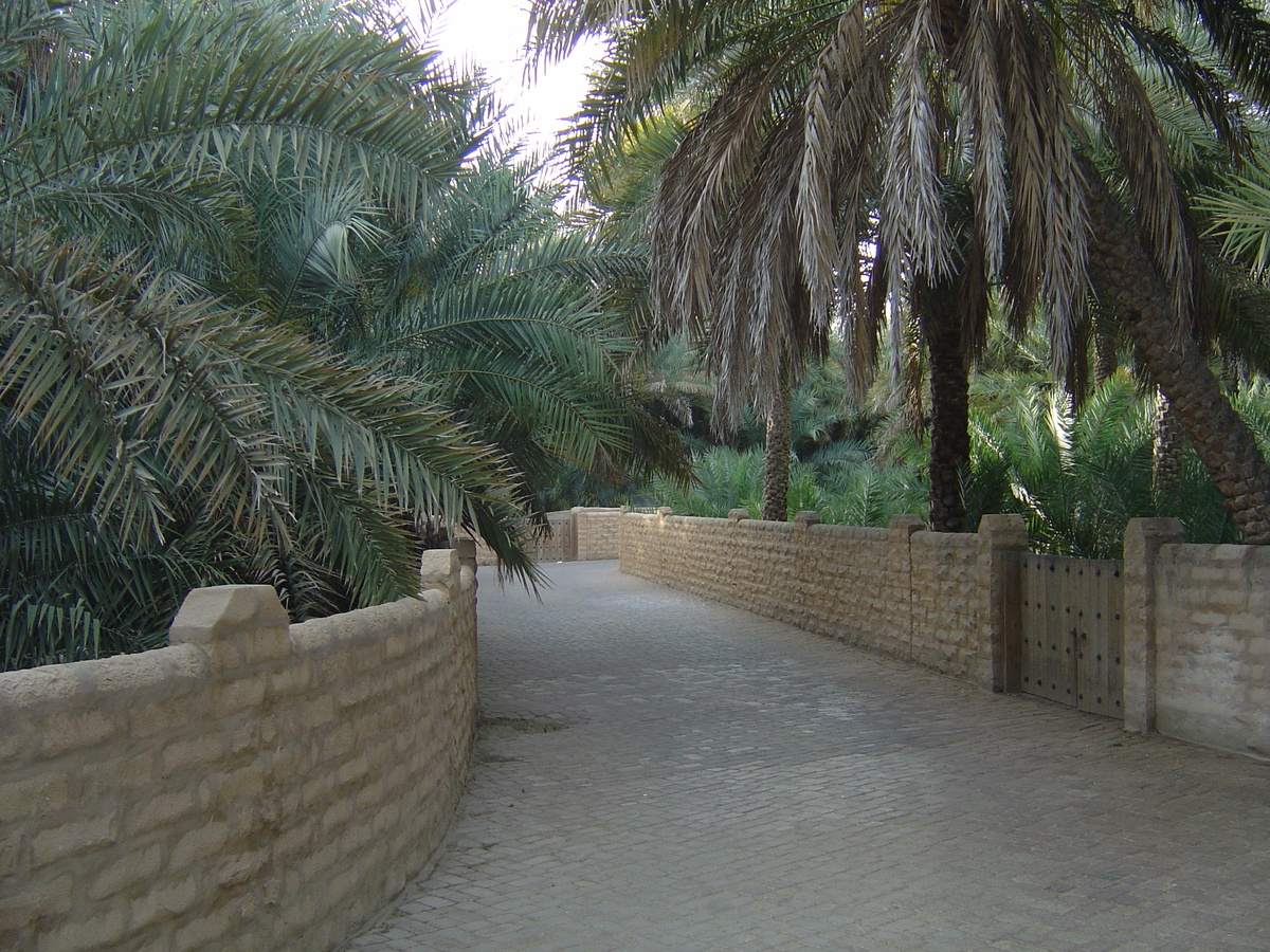 รูปถ่าย สหรัฐอาหรับเอมิเรตส์(United Arab Emirates) อาเลอิน(Al Ain) โอเอซิสอัลไอน์(Al Ain Oasis) 2005-03 3