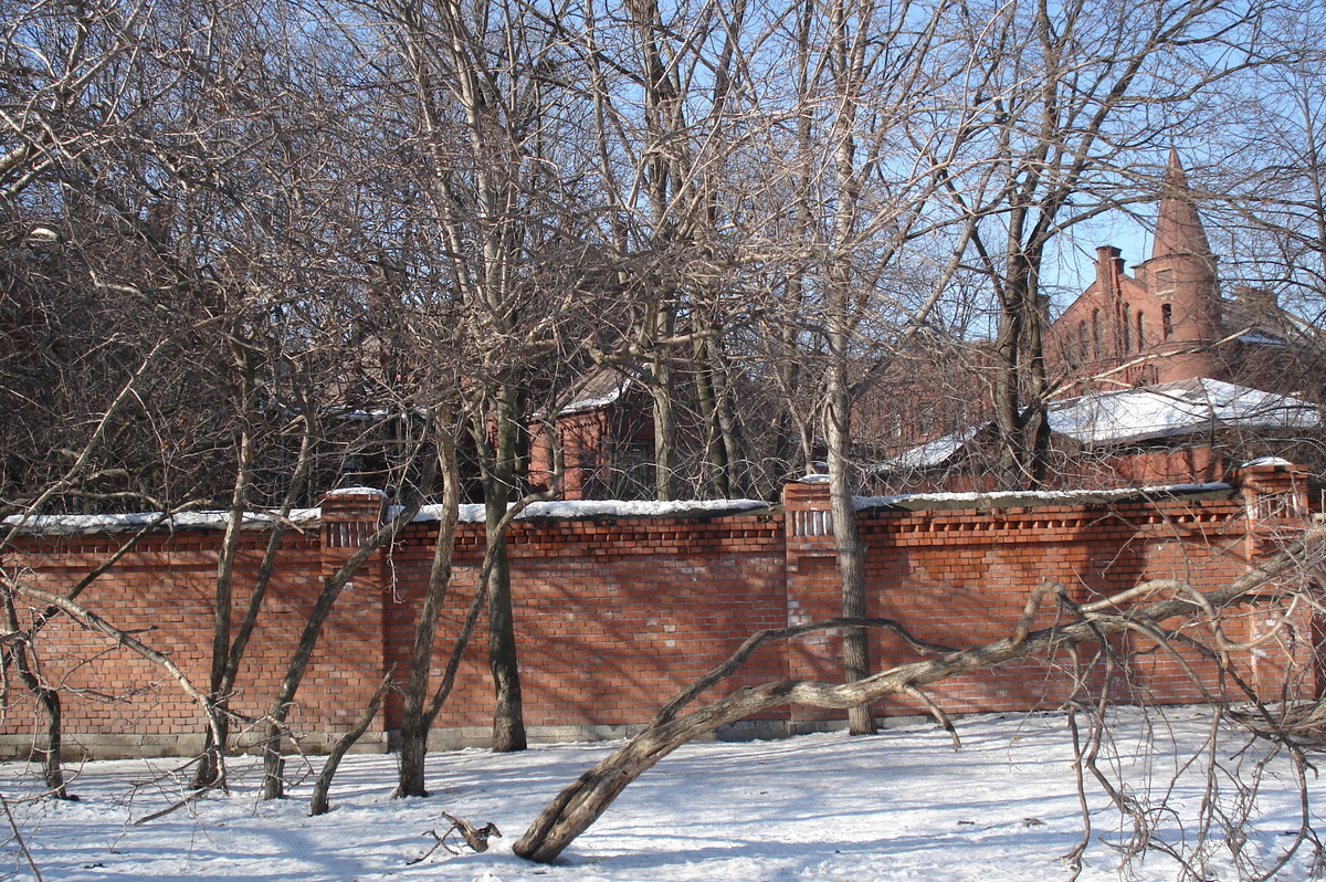 รูปถ่าย รัสเซีย(Russia) เซนต์ปีเตอร์สเบิร์ก(St Petersburg) 2006-03 36