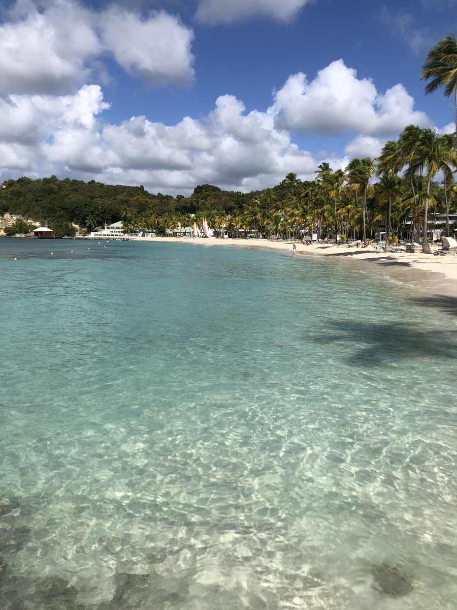 รูปถ่าย กวาเดอลูป(Guadeloupe) หาดลาการาแวล(La Caravelle Beach) 2021-02 3