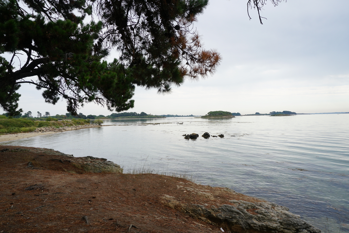 รูปถ่าย ฝรั่งเศส(France) เกาะโอมวน(Ile-aux-Moines) 2016-08 27