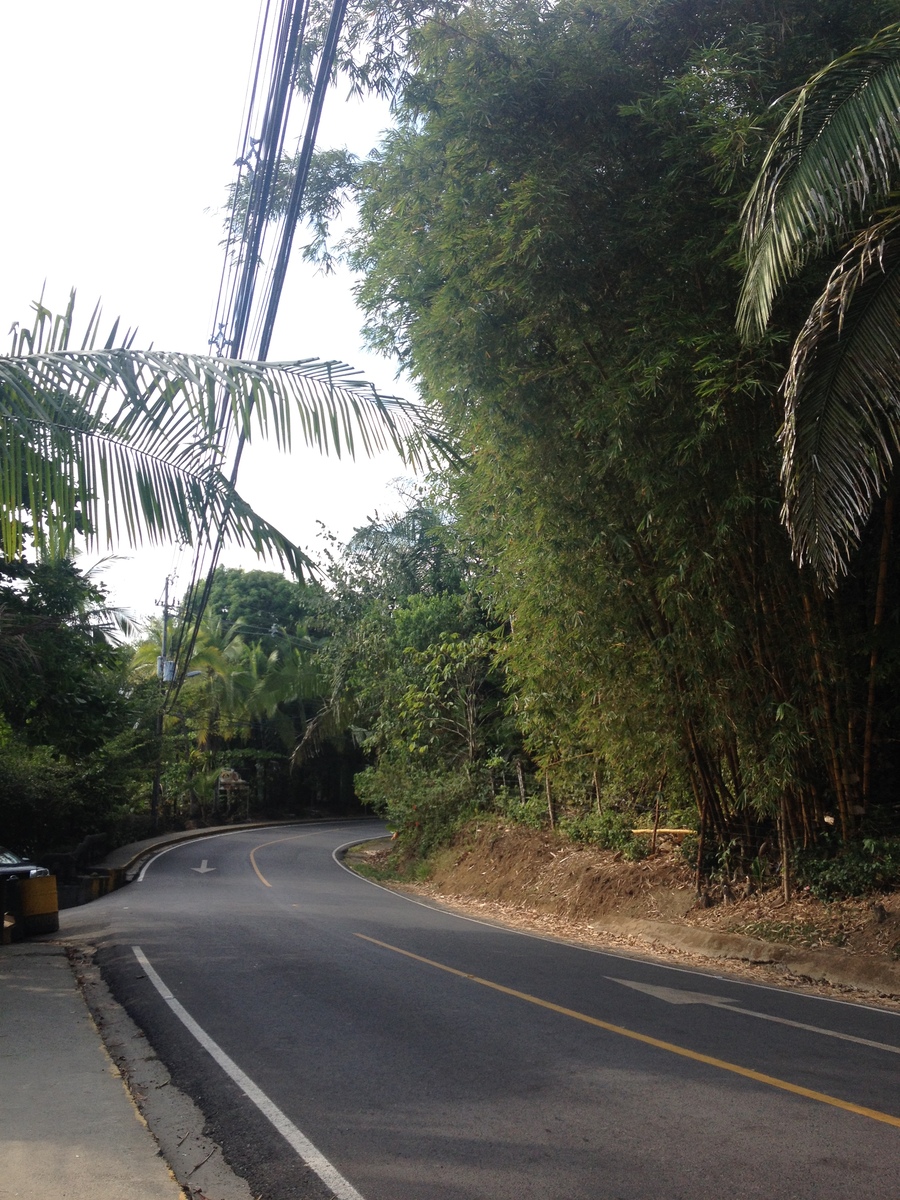 รูปถ่าย คอสตาริกา(Costa Rica) มานวยล์อันโตนีโอ(Manuel Antonio) 2015-03 182