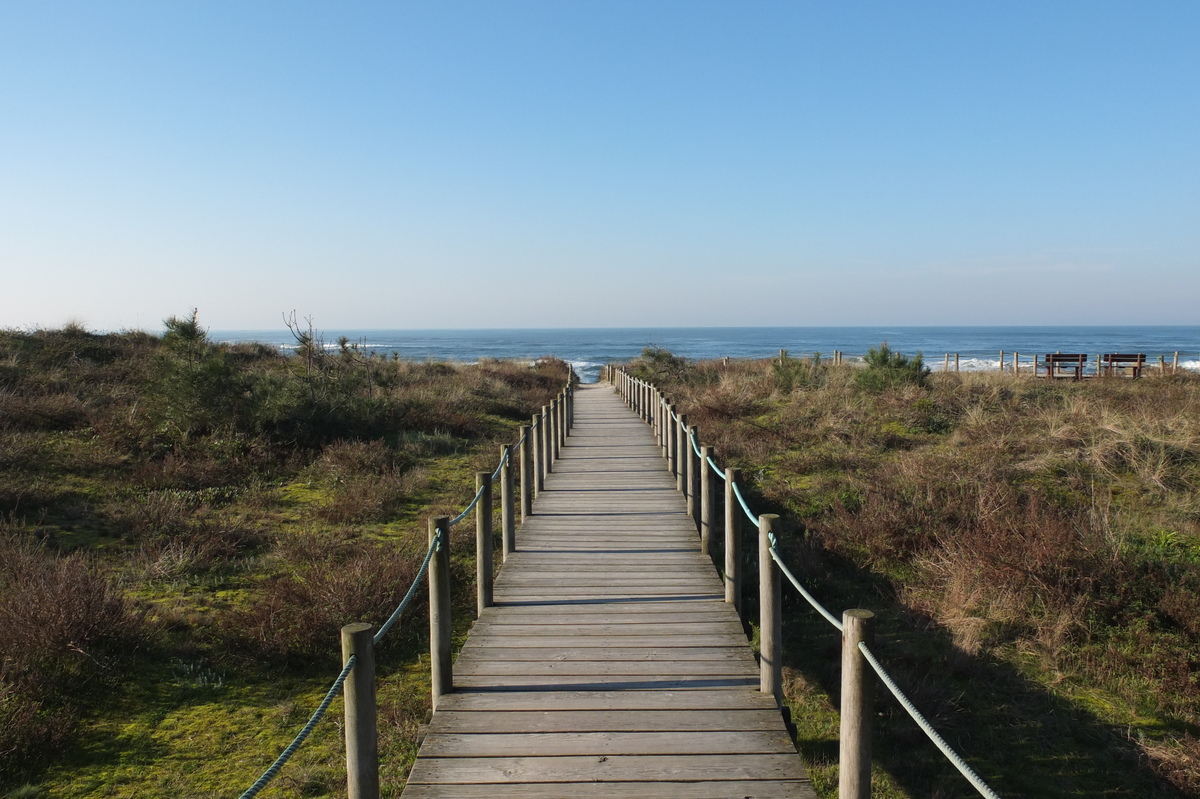 รูปถ่าย โปรตุเกส(Portugal) วีอานาดูกัชเตลู(Viana do Castelo) 2013-01 69