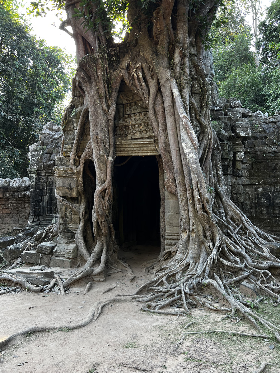 รูปถ่าย กัมพูชา(Cambodia) เสียมราฐ(Siem Reap) ปราสาทตาสม(Ta Som) 2023-01 20