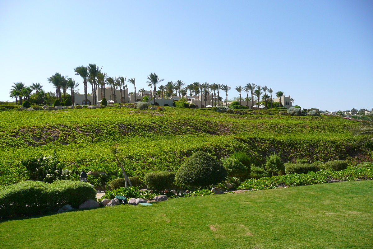 รูปถ่าย อียิปต์(Egypt) ชาร์มเอลชีค(Sharm el Sheikh) โรงแรมโฟร์ซีซันส์(Four Seasons Hotel) หาดโฟร์ซีซันส์(Four Seasons Beach) 2008-06 25