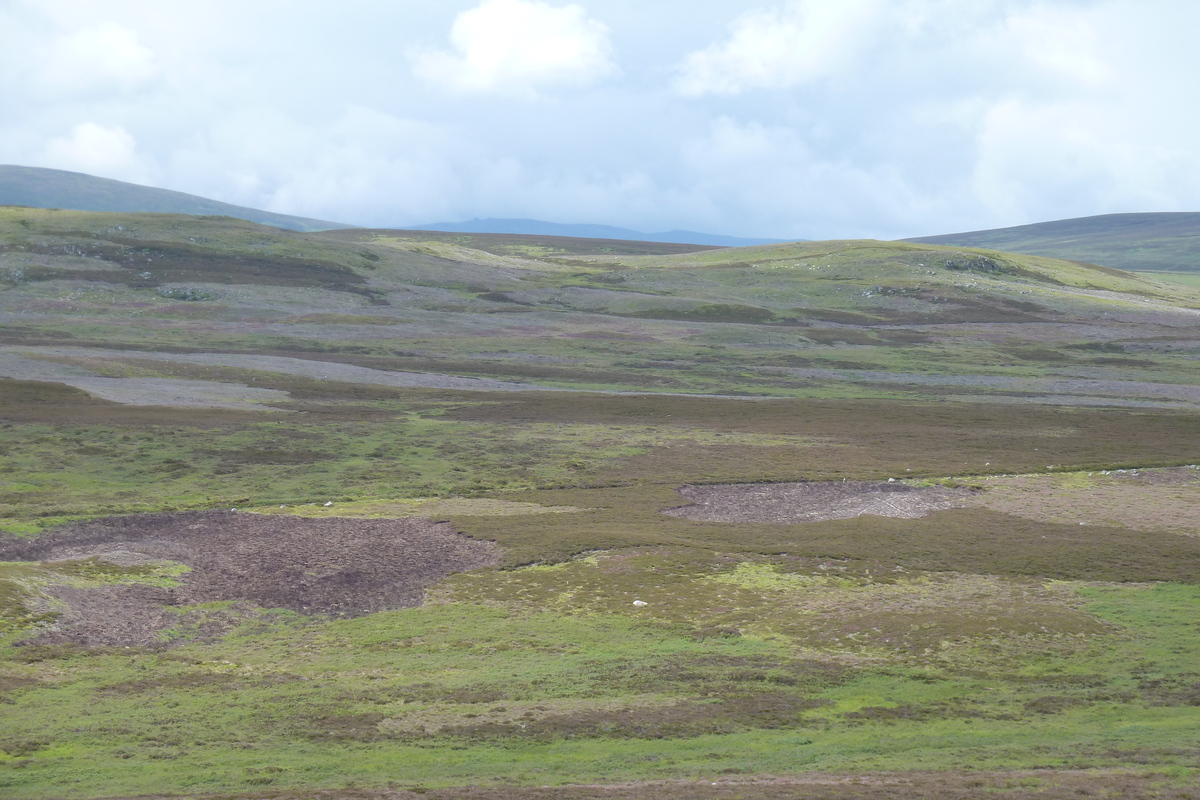 รูปถ่าย อังกฤษ(United Kingdom) อุทยานแห่งชาติแคร์นกอร์มส์(Cairngorms National Park) 2011-07 4