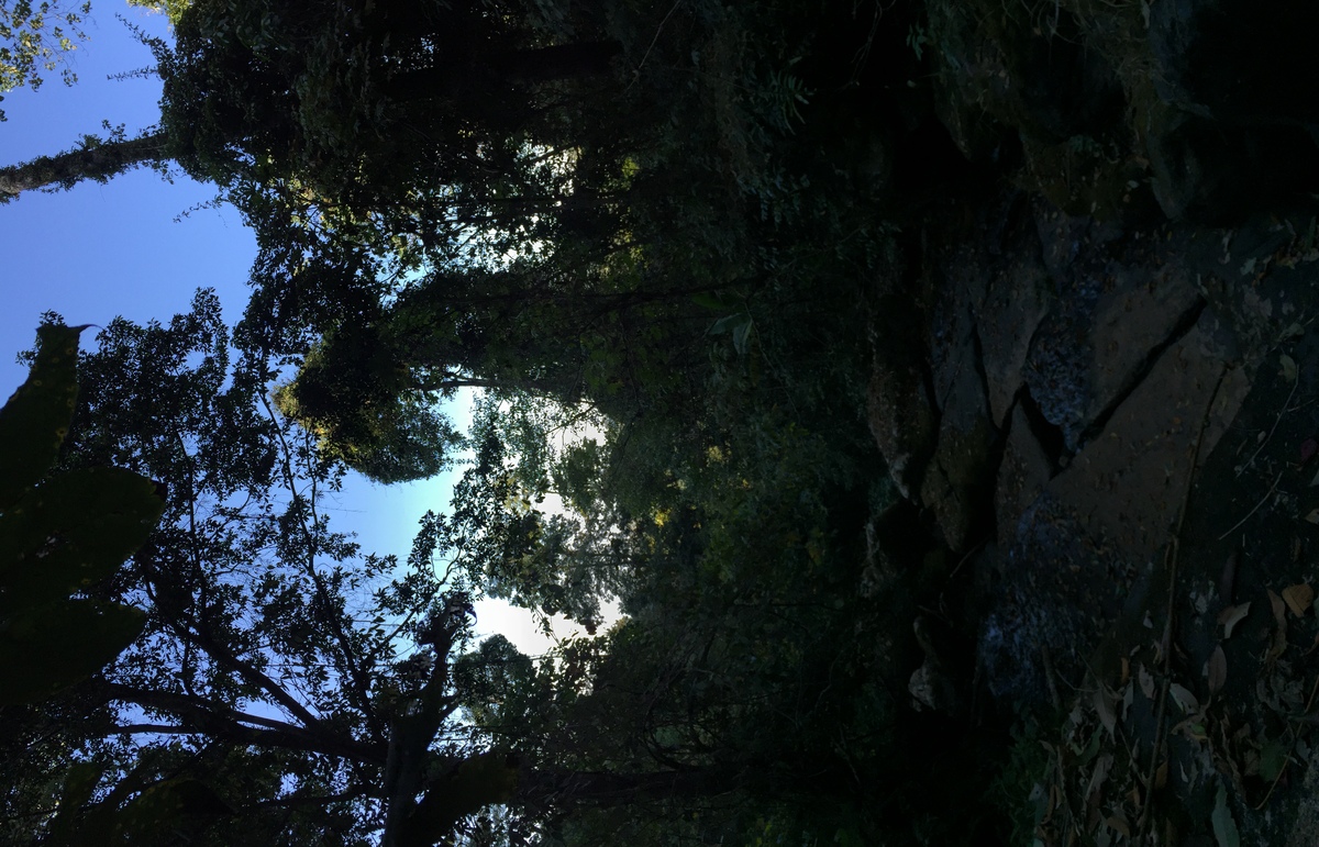 รูปถ่าย ไทย(Thailand) อุทยานแห่งชาติภูหินร่องกล้า(Phu Hin Rong Kla National Park) 2014-12 130