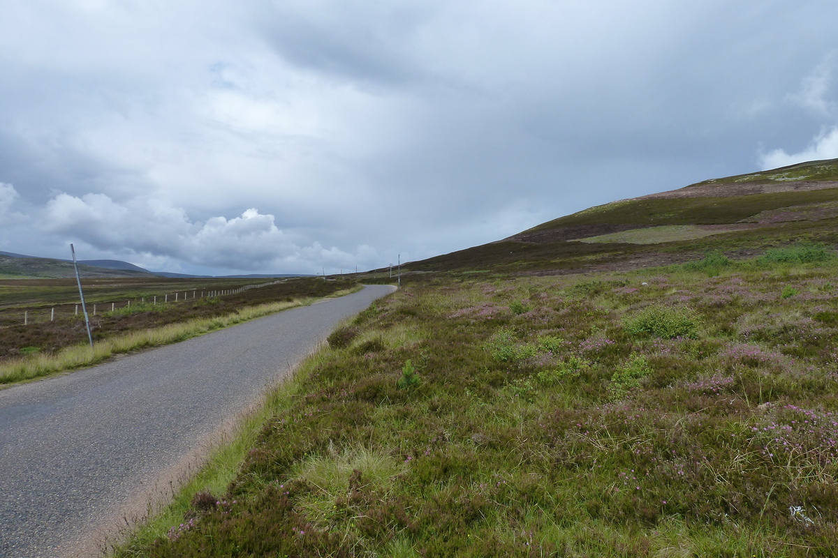 รูปถ่าย อังกฤษ(United Kingdom) อุทยานแห่งชาติแคร์นกอร์มส์(Cairngorms National Park) 2011-07 14