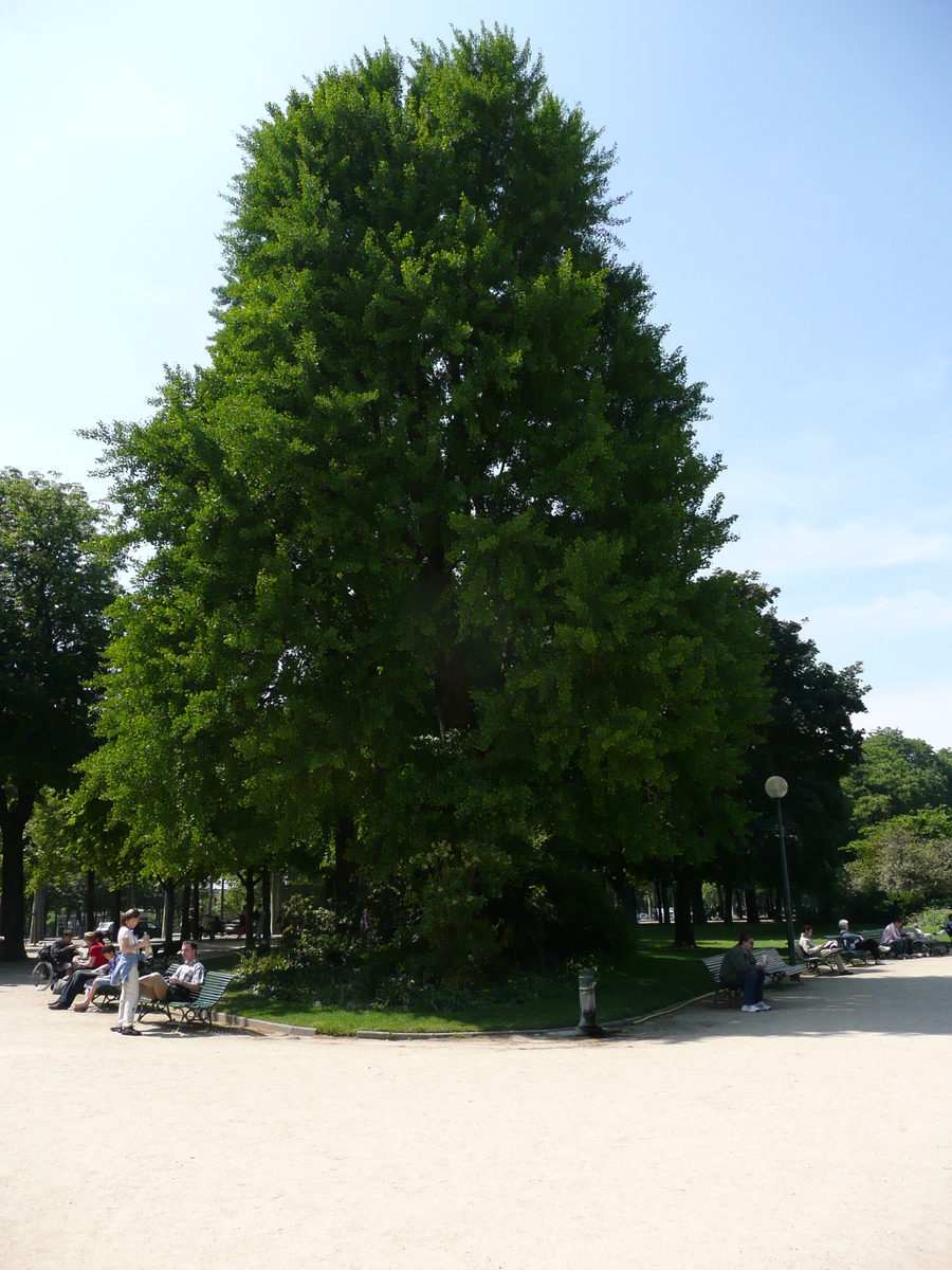รูปถ่าย ฝรั่งเศส(France) ปารีส(Paris) ช็องเซลีเซ(Champs Elysees) 2007-05 4