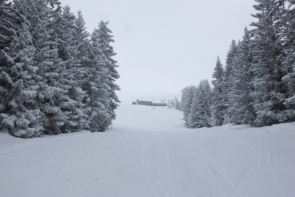 รูปถ่าย ฝรั่งเศส(France) เลทรัววาเล(Les 3 Vallees) 2013-03 38