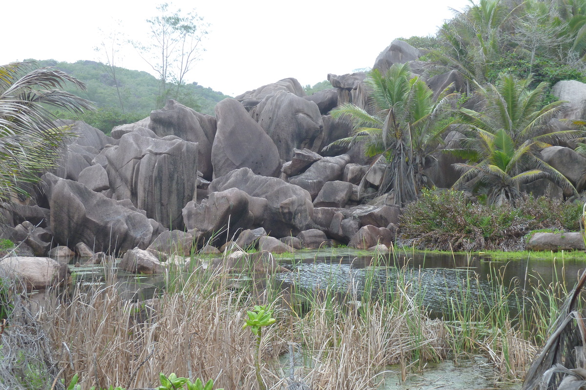 รูปถ่าย เซเชลส์(Seychelles) เกาะลาดีก(La Digue) 2011-10 210