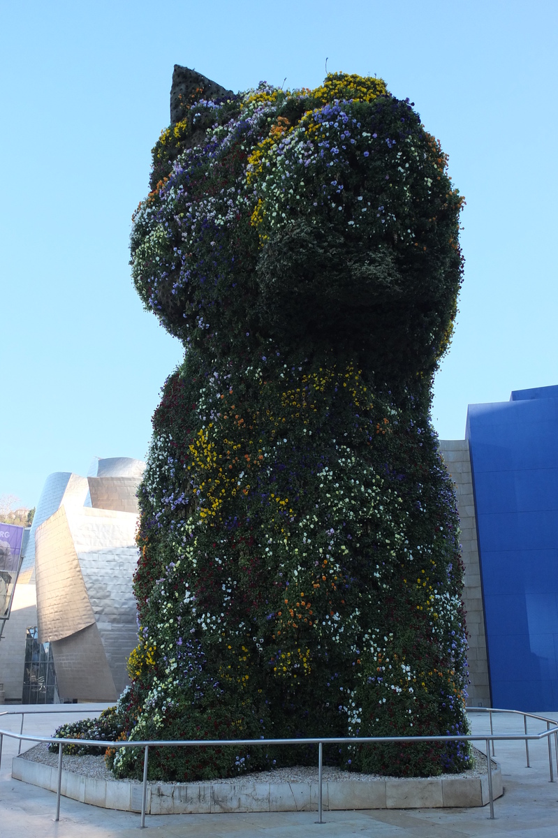 รูปถ่าย สเปน(Spain) บิลบาโอ(Bilbao) 2013-01 17