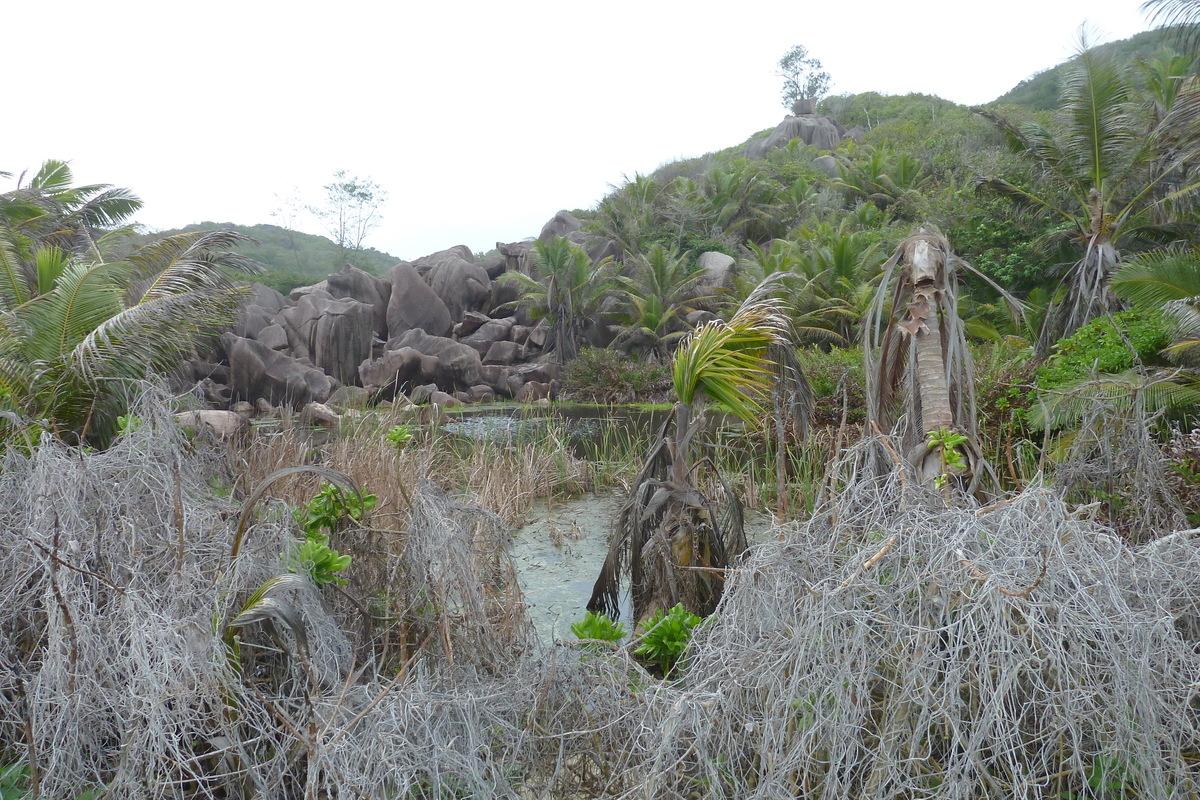 รูปถ่าย เซเชลส์(Seychelles) เกาะลาดีก(La Digue) 2011-10 198